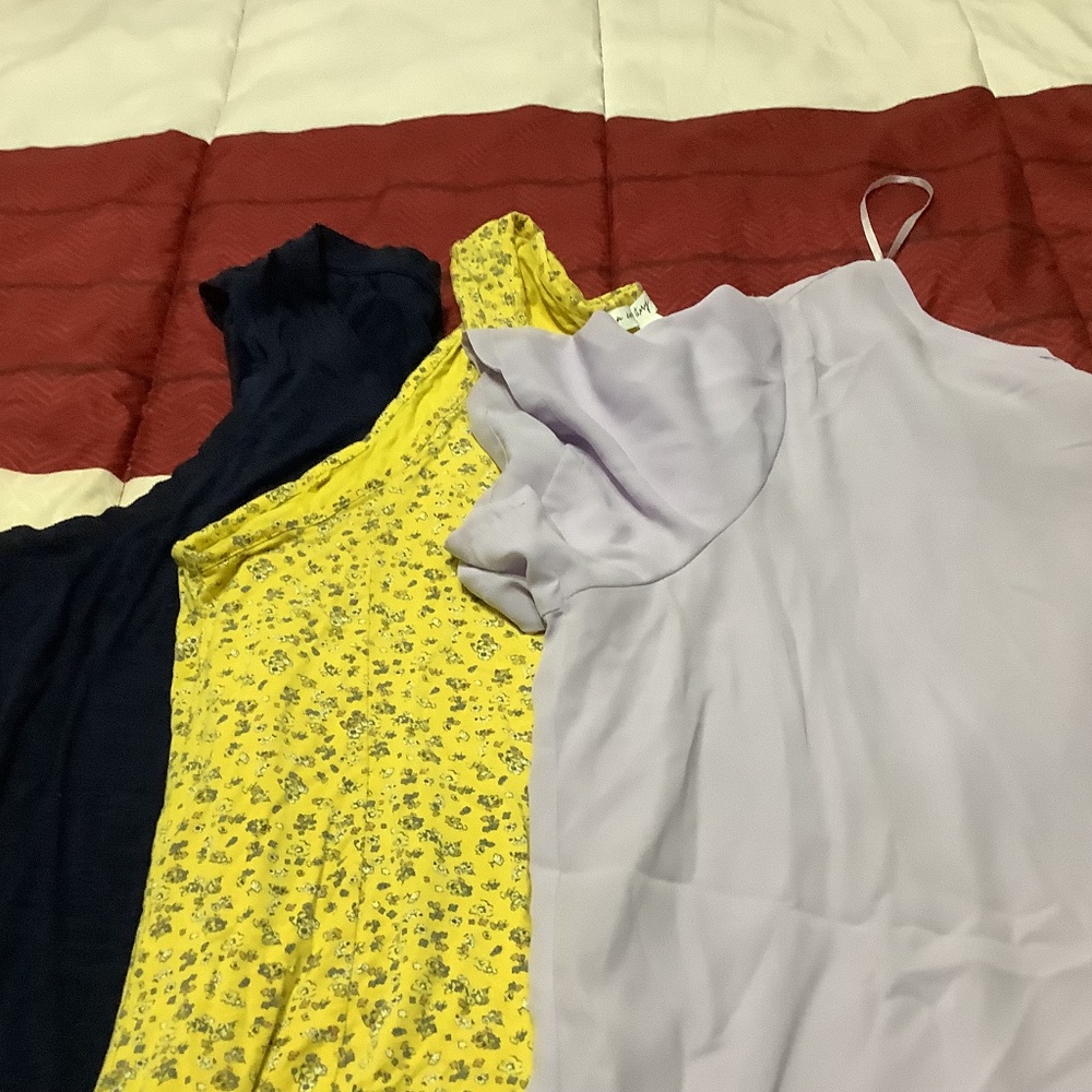 Plus size top lot